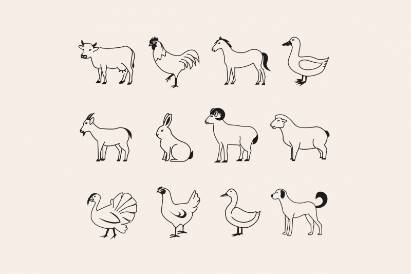 24农场动物图标icon